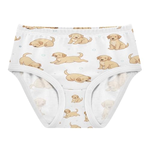 Joisal Fancy Toddlers Underwear Floral Cotton Panties Little Girl Cute Puppy Dog White Briefs Underpants 2T