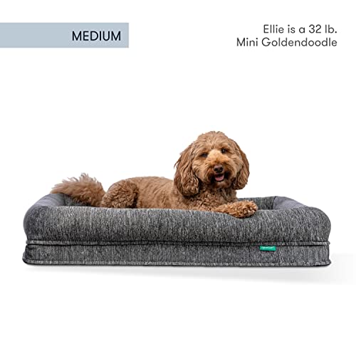 Newton Orthopedic Pet Bed - Washable Dog Bed For Medium Dogs, Puppy Bed, Crate Bed, With Removable & Breathable Dog Bed Cover, Comfy & Durable Dog Bed For Small To Large Dogs, Dog Essentials, Medium #TOP5