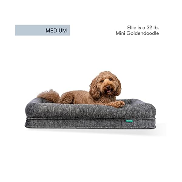 Newton Orthopedic Pet Bed – Washable Dog Bed for Medium Dogs, Puppy Bed, Crate Bed, with Removable & Breathable Dog Bed Cover, Comfy & Durable Dog Bed for Small to Large Dogs, Dog Essentials, Medium Newton Orthopedic Pet Bed – Washable Dog Bed for Medium Dogs, Puppy Bed, Crate Bed, with Removable & Breathable Dog Bed Cover, Comfy & Durable Dog Bed for Small to Large Dogs, Dog Essentials, Medium