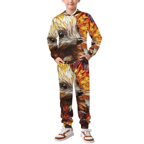 Boys Girls 2 Piece Sets Hoodie and Pants Sweatshirt Set 2 Pieces for Kids, Hedgehog Stained Glass Art