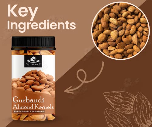 Image of NATURE YARD Orignal Afghan Gurbandi Almond /Badam Giri Rich in Oil - 100% Pure & Natural - 250Gm