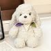 Imagen de HOMEXYLYL Peluche de caniche