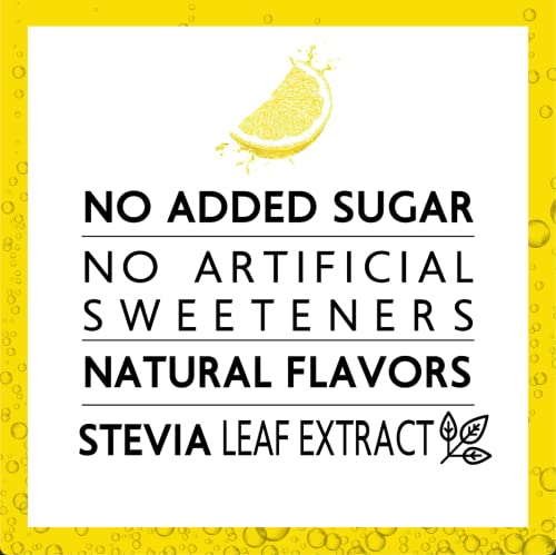Green Lemonade - No Added Sugar, 6% Real Lemon Juice, 10 Calories Per Can, Naturally Sweetened With 100% Stevia Leaf Extract, Carbonated Soda, 12 Fl Oz Each Can - Pack Of 12 #TOP1