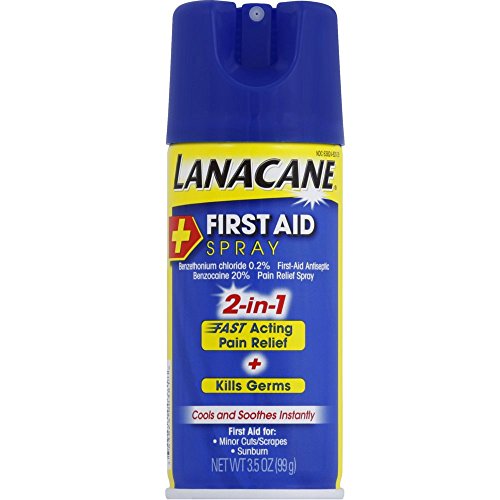 Lanacane First Aid Spray- 2-in-1 Pain Relief and Antiseptic Spray for Fast-Acting Relief from Insect - //coolthings.us