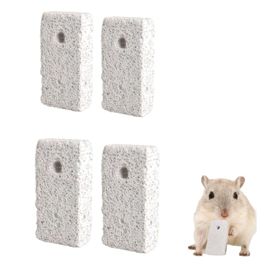 AXYOUCUN 4PCS Pet Teeth Grinding Stones Hamster Chew Toys Teeth Grinding Block Mineral Calcium Stone for Hamsters Parrot Chinchillas Rabbits