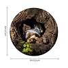 DJUETRUI A Little Yorkshire Terrier Nestled in A Tree Hole Round Acrylic Keychain Blanks Clear Circle Acrylic Ornament Blanks for DIY Crafts Keychain Pendant Jewelry Making #1