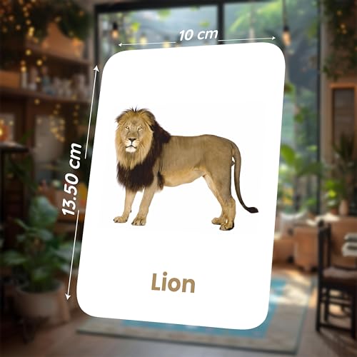 Image of SPARTAN KIDS Animal Flash Cards for Kids | 27 Early Learning Flash Cards for Cognitive Skills | Toys for 2+ Year Old Girl and boy | Gift for Kids 3 Years