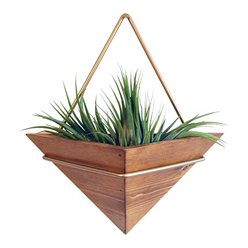 Artisanal Geometric Air Plant Holder – Made From High­Quality, Sustainably Sourced Wood – Minimalist Style & Easy­To­Hang Design – Ethical Geometric Wall Decor Air Plant