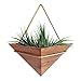 Artisanal Geometric Air Plant Holder – Made From, Sustainably Sourced Wood – Minimalist Style & Easy­To­Hang Design – Ethical Geometric Wall Decor Air Plant