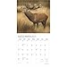 BrownTrout, Monster Bucks Plato 2025 Wall Calendar