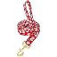 N - Christmas Leash