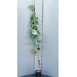 SAVINI VIVAI L'ARTE DI FARE NATURA