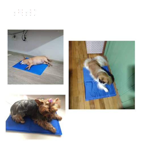 Tapete Caminha Refrescante Gelado Pet Cachorros e Gatos Médio 40x50 cm