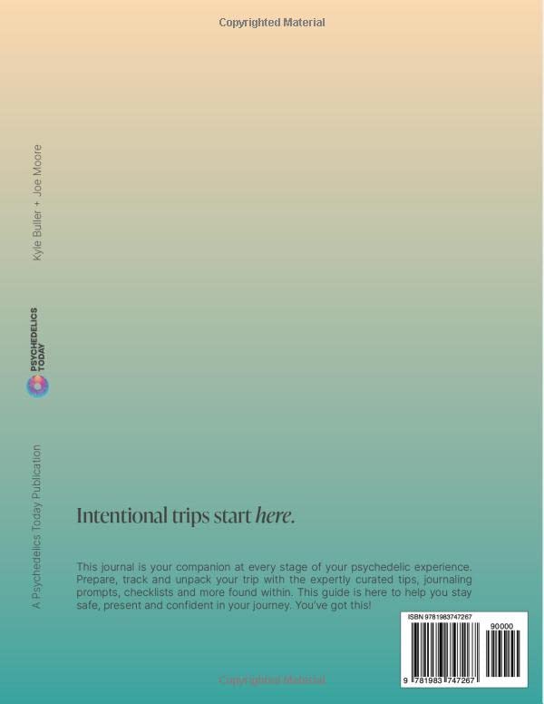 Navigating Psychedelics: Trip Journal - Image 2