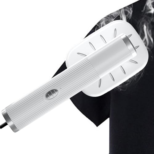 Plancha de ropa para ropa, plancha de vapor húmedo y seco 2 en 1 para ropa Plancha de ropa para ropa, plancha de vapor húmedo y seco 2 en 1 para ropa