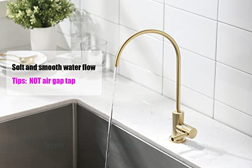 Havin Drinking Water Faucet, Stainless Steel Material, Water Filter Faucet For Non Air Gap, Reverse Osmosis Faucet,Ro Faucet, Beverage Faucet, Brushed Gold Color #TOP4