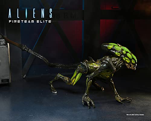 NECA Official Aliens Fireteam Elite- 7" Scale Action Figurine - Burster Alien, Adult Collectible Item, Halloween - Image 2