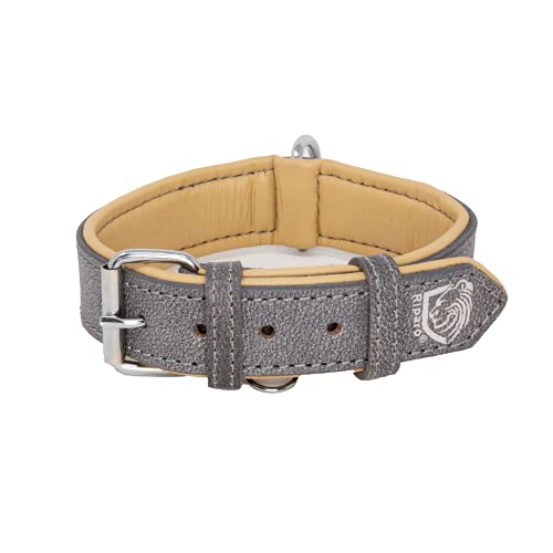 Riparo Genuine Leather Padded Dog Heavy Duty K-9 Adjustable Collar (XL, Gray)