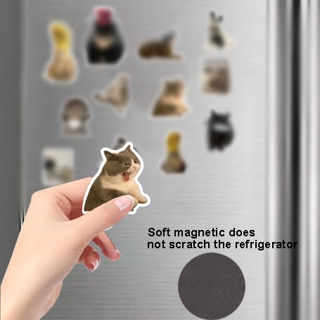 12 Imánes Decorativos Redondos de Goma para Refrigerador miniatura 4