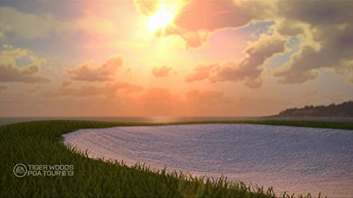 Tiger Woods Pga Tour 13 - Xbox 360 (Renewed) #TOP7