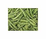 Seeds & Plants Shop by Ipsa