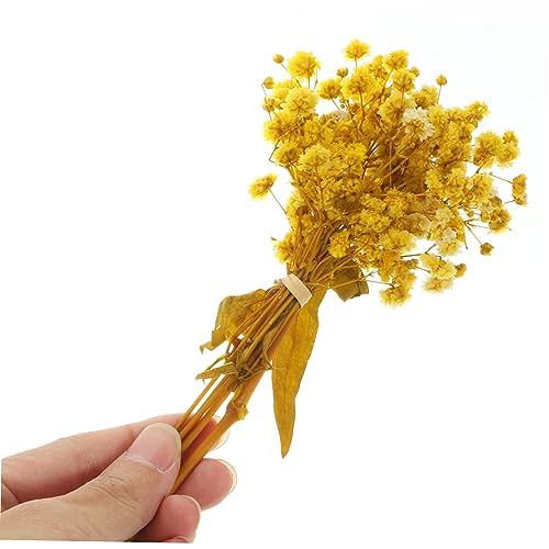 Ramo de flores secas Gypsophila Yellow 3 unidades miniatura 3