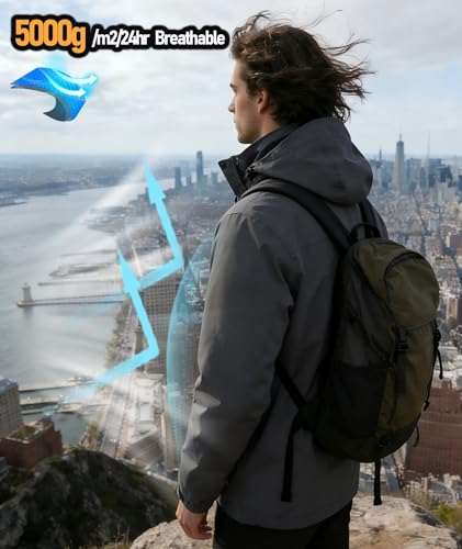 View 4