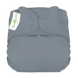bumGenius Elemental 3.0 All-in-One One-Size Cloth Diaper with Organic Cotton (Armadillo)