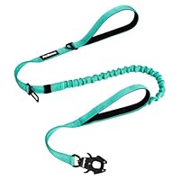 Plutus Pet Taktische Hundeleine – Bungee-Leine Mit 2 Griffen, Karabiner, Reflektierend, Für Mittlere & Große Hunde