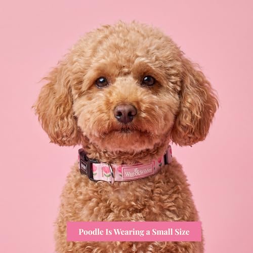Image of Wag and Wilder Heavy Duty Adjustable Dog Collar for Small Dogs - Quick Release Buckle & Metal D-Ring (Jaipur Bloom Pink)