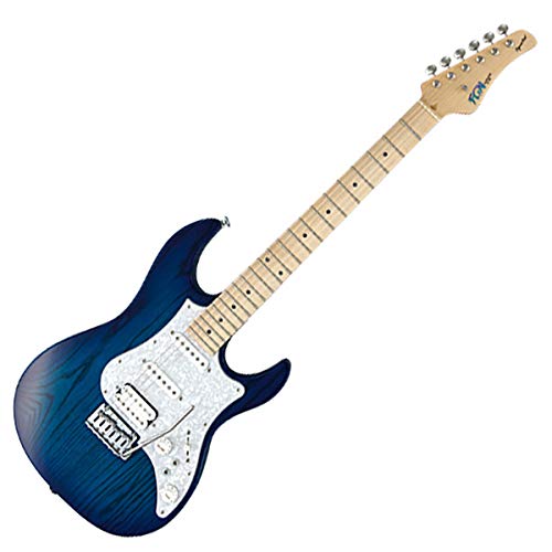 FUJIGEN EOS-ASH-M/06 SBB エレキギター フジゲン FUJIGEN EOS-ASH-M/06 SBB エレキギター フジゲン