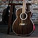 Washburn Electro Acoustic 6 String Guitar, Right, Striped Ebony (DFEACE)