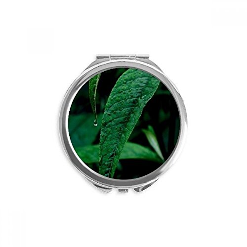 Feuille nature photographie plante miroir rond multicolore