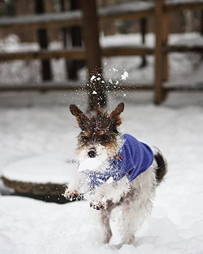 image for Gooby - Stretch Fleece Vest, Pullover Fleece Vest Jacket Sweater for D