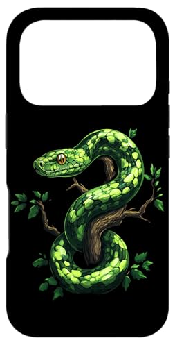 �ʔ����O���[���c���[�p�C�\�����D�ƃw�r঒��ށB �X�}�z�P�[�X iPhone 17 Pro �p