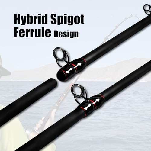 Fiblink Surf Casting Fishing Rod 2-Piece Graphite Travel Baitcasting Fishing Rod (Length: 10\')