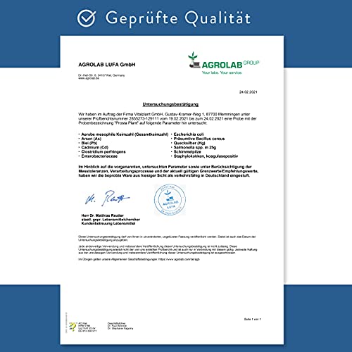 Vitalplant® Prosta Plant Kapseln im Braunglas | einzigartige Zusammensetzung aus Kürbiskernextrakt, Sägepalmenextrakt, Brennnesselwurzel – Bild 7