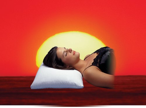 Amazon.com: Makura Buckwheat Hull Pillow : Home & Kitchen