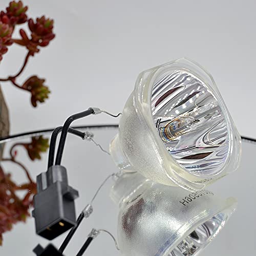 Ampoule de projecteur compatible avec CB-S05 offrant une luminosité stable et durable