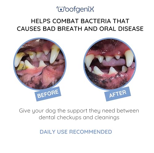 Image of Dog Teeth Cleaning Gel - Canine Tooth Brushing Alternative - Vet Reviewed to Eliminate Plaque, Tartar & Bad Breath - Breath Freshener - Natural Peppermint (60 Day Supply)