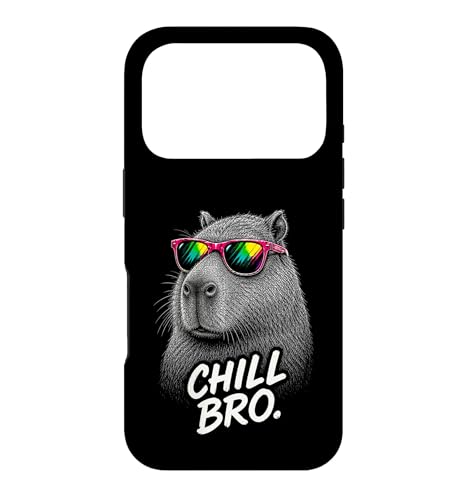 Chill Bro Cooler Capybara �T���O���X ��������Q�[�}�[ �X�}�z�P�[�X iPhone 17 Pro �p