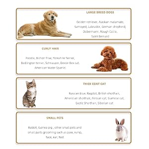 2 in 1 Pet Paw Hair Trimmer Electric Multi Dog Hair Clippers for Thick Coat Cordless Grooming Tool Kid Hair Clipper for Child Rechargeable for Medium and Large Dogs and Cats Face Ear Rump 2 in 1 Pet Paw Hair Trimmer Electric Multi Dog Hair Clippers for Thick Coat Cordless Grooming Tool Kid Hair Clipper for Child Rechargeable for Medium and Large Dogs and Cats Face Ear Rump