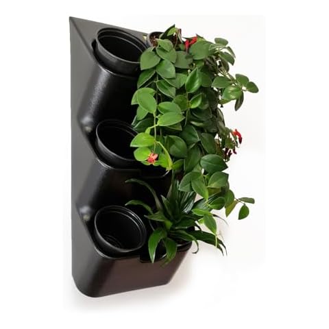 BOXSAND-6 Living Wall Planter Cover