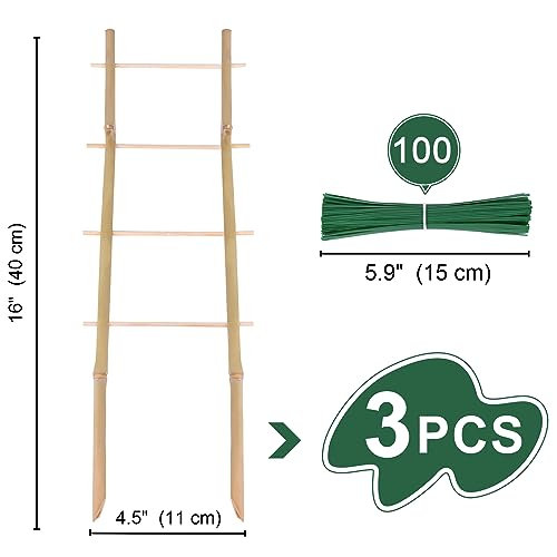 Bamboo Trellis for Climbing Plants 16 Inch 3 Pack Ladder-Shaped Natural Small Bamboo Lattice Mini Wooden Plant Support Trellis Climber for Potted Houseplants Rose Pothos Monstera Indoor Outdoor Garden