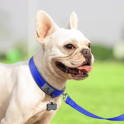 Image of Joytale Dog Collar for Small Dogs, Neoprene Padded and Adjustable, Reflective Wide Heavy Duty Pet Collars with Durable Metal Belt Buckle for Walking, Navy Blue, S