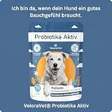 VeloraVet Probiotika Hund, Magen Darmsanierung, Darmkur für Hunde-Darmflora