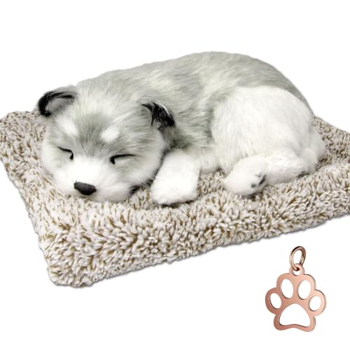 TATOTTE 犬 縫い包み リアル すやすや眠るワンコ 置物 活性炭入り 癒し インテリア 肉球チャーム付き (ハスキー K)