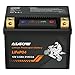 ADPOW Lithium Motorcycle Battery, Fits YTX4L-BS/YTX5L-BS/YTX7L-BS/YTZ7S with 2 Spacers, 12V 3.5Ah 210CCA LiFePO4 Battery with Smart BMS, Compatible with Motorcycle Scooter ATV Jet Ski Lawn Mower