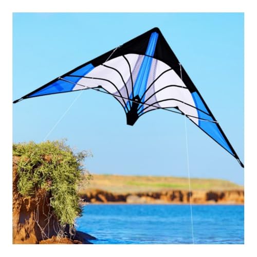 スポーツカイト」の人気商品一覧 | 安い商品を通販サイトから探す