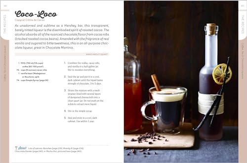 Homemade Liqueurs and Infused Spirits: Innovative Flavor Combinations, Plus Homemade Versions of Kah